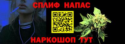 сатива Краснознаменск
