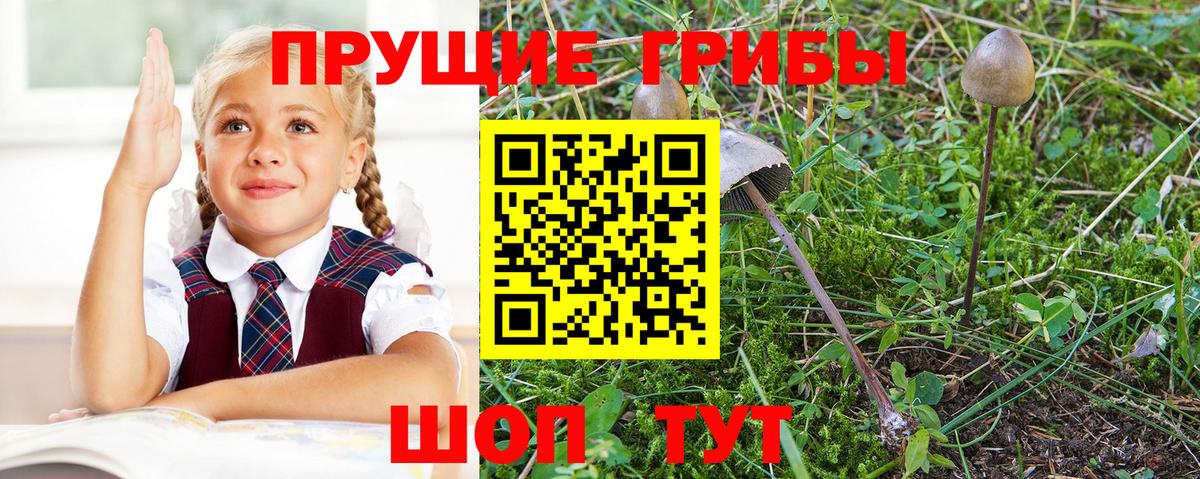 Псилоцибиновые грибы ЛСД  сколько стоит  Бирск  Вход с VPN 