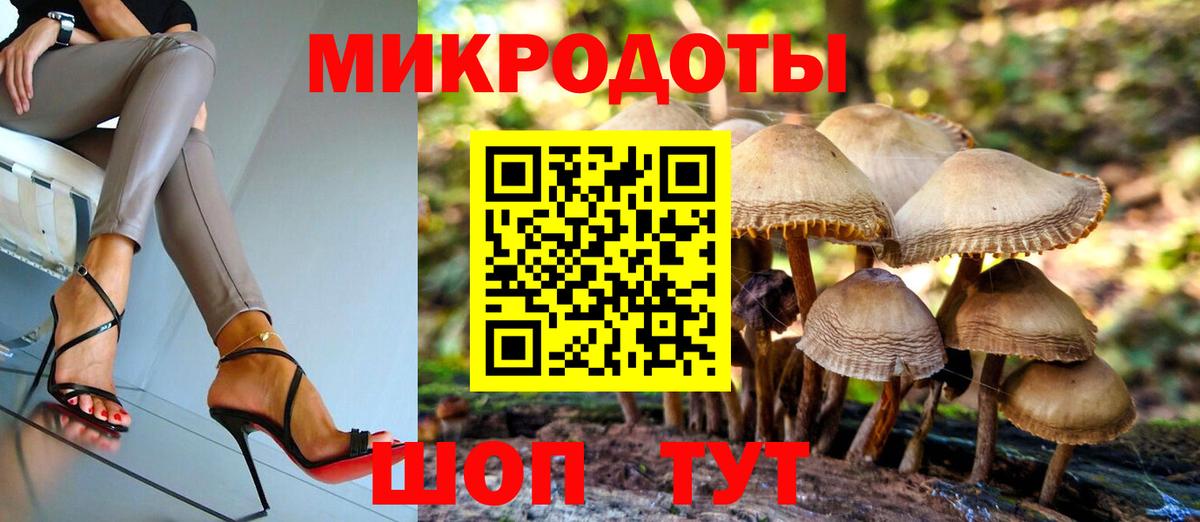 Галлюциногенные грибы Psilocybe Бирск